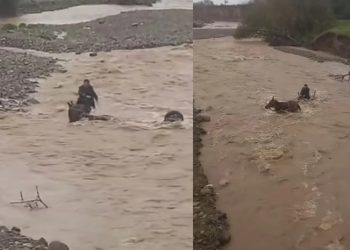 ბოლნისში, წყალმა კაცი და ცხენი წაიღო – კადრები ადგილიდან