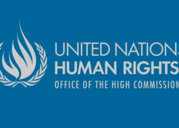 შეშფოთებულები ვართ საქართველოში მიღებული შემზღუდავი კანონებით-გაეროს ადამიანის უფლებათა უმაღლესი კომისრის ოფისი