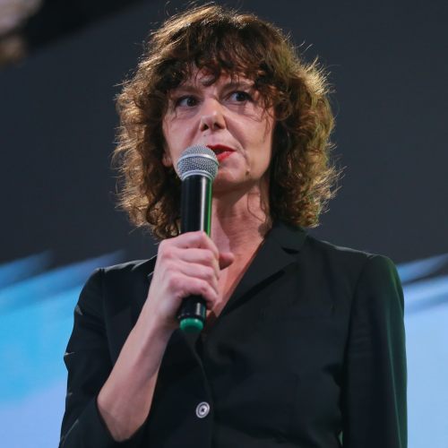 ,,ის, რომ ყველაფერი კობახიძეს დაეკიდა, ივანიშვილის დასუსტებას ნიშნავს და არაფერს სხვას” – თამარ ჩერგოლეიშვილი