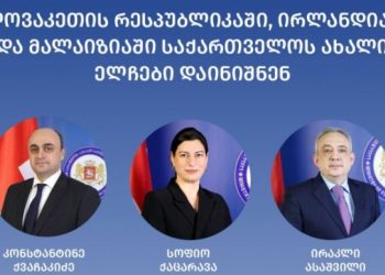 სლოვაკეთში, ირლანდიასა და მალაიზიაში “ოცნებამ” ახალი ელჩები დანიშნა