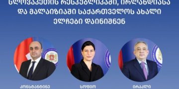 სლოვაკეთში, ირლანდიასა და მალაიზიაში “ოცნებამ” ახალი ელჩები დანიშნა