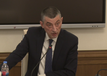გახარია წულუკიანს: გაგახსენებთ თქვენს სიტყვებს, რომ მელიას დაკავება იქნებოდა შეცდომა