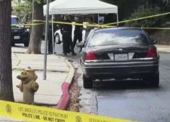 ლოს-ანჯელესში 47 წლის საქართველოს მოქალაქის მკვლელობისთვის 3 ქართველი დააკავეს