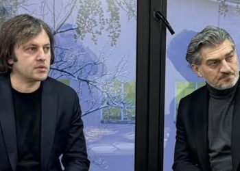 “მიეცეს თანხმობა” – რა უნდა გააღრმავოს ყაველაშვილმა კობახიძის თანხმობით?