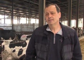 “ძროხები არ დახოცილა, დავკალით და გავყიდეთ” – პაპაშვილი