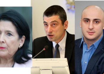 რა პრეტენზია აქვს მელიას ზურაბიშვილთან და რას ვერ მოსთხოვს გახარიას?