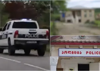 “ბავშვს ჯოხი ჩაურტყამს მამლისთვის და მოუკლავს… ამის გამო სცემეს” – მძიმე დანაშაულის დეტალები