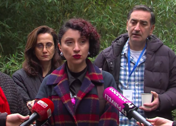 “ძალიან მალე შეიძლება ჩვენს ენასაც დასჭირდეს დაცვა” – 14 აპრილის აქციას ქართველი გამომცემლები უერთდებიან