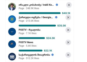 “ხომ გაინტერესებთ, რაში იხარჯება თქვენი ჯიბიდან ბიუჯეტში გადახდილი ფული?!” – ნინო რიჟმაძე