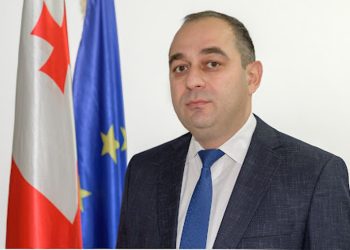 ვინ გახდა საკონსტიტუციო სასამართლოს ახალი მოსამართლე