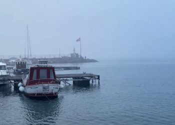 ​​​​​​​დარდანელის სრუტეში სატრანზიტო გემების მოძრაობა შეჩერდა