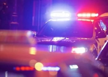 ნარკოტიკების უკანონო შეძენა-შენახვისა და კულტივირების ფაქტზე ბრიტანეთის მოქალაქე დააკავეს