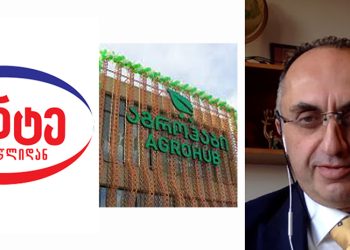 “კომპანიებმა დაგვიჯერეთო… უნდა დავუჯეროთ – ამ კომპანიებმა კარგად იციან რომ დედა დედაა და მამა მამა” – ზაზა წერეთელი