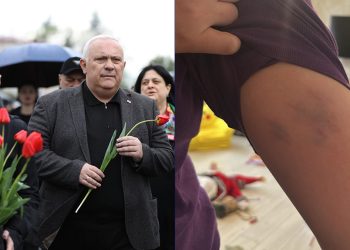 “ამ ფოტოების გადასაღებად დაგვარბიეს” – მარიამ სიჭინავა