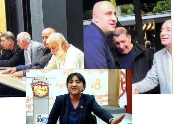 ,, ვიღაცა სუსის აგენტი, ან ბრიყვი, ან, უბრალოდ, იდიოტი წერს, რომ თითქოსდა პატრიოტთა ალიანსი ნაცმოძრაობას შეეკრა” – ირმა ინაშვილი