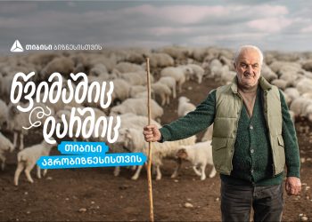 თიბისი აგრობიზნესისთვის – ჯუნო ჩიბურდანიძის ცხვრის ფარა- როგორ იქცა ოჯახური ტრადიცია წარმატებულ ფერმად
