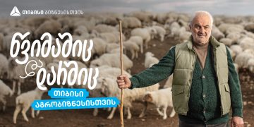 თიბისი აგრობიზნესისთვის – ჯუნო ჩიბურდანიძის ცხვრის ფარა- როგორ იქცა ოჯახური ტრადიცია წარმატებულ ფერმად