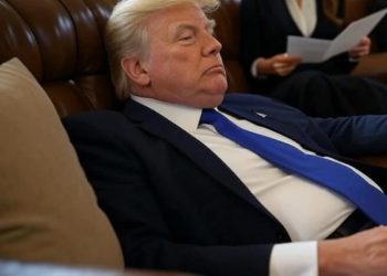 ,,მელანია უკითხავს კობახიძის წერილს ..“