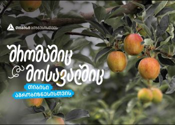 თიბისი აგრობიზნესისთვის – „ჭარებულას“ ვაშლის ბაღები ქართლში