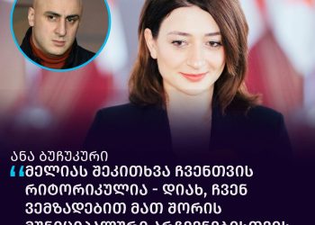 ,, რა გეგმა აქვთ ოპოზიციურ პარტიებს ბოიკოტის შემდეგ?” – ანა ბუჩუკური