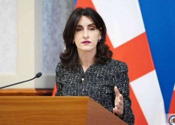 ,, მე ვერ მივიღებ ამ განცხადებას განცხადებად” – მაკა ბოჭორიშვილი მარკო რუბიოს განცხადებაზე