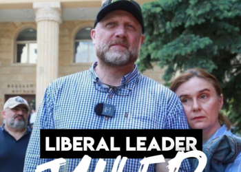 ALDE: ვგმობთ ზურა ჯაფარიძის დაკავებას, მოვუწოდებთ “ოცნების“ მთავრობას, დაუყოვნებლად გაათავისუფლოს