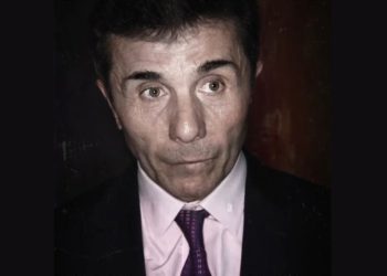 “არც გიგანტური ხეების აქეთ-იქით თრევა იყო შემთხვევითი და არც ის, ტყეს ბადე რომ გადააფარა” – სალომე სიმონია