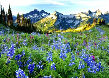 “გაზაფხული შემოსულა, ლენ” – ღონისძიება წალენჯიხაში