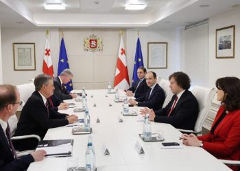 კობახიძის ადმინისტრაცია ადასტურებს, რომ შეხვედრაზე ამერიკელ სენატორთან საქართველოში არსებული პოლიტიკური ვითარება განიხილეს