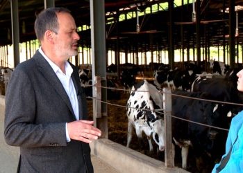 „არანაირი ფინანსური ზარალი არ მიმიღია” – ლაშა პაპაშვილი “რძის სკანდალზე”