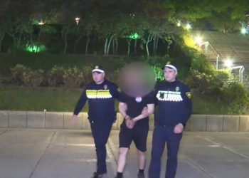 საპატრულო პოლიციამ ნარკოდანაშაულის ბრალდებით უკრაინის 2 მოქალაქე დააკავა