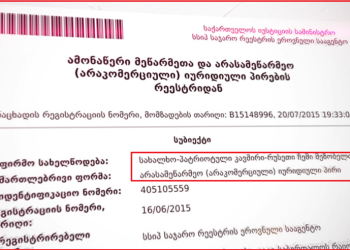 კაცი, რომელიც გერმანიის ელჩს თავს დაესხა “სახალხო-პატრიოტული კავშირი-რუსეთი ჩემი მეზობელიას” წევრია