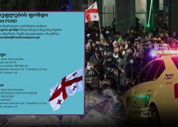 “4 დღეში შემოვიდა 20,000 ლარზე მეტი” – როგორ მუშაობს ახალი, “თავისუფლების ფონდი”?