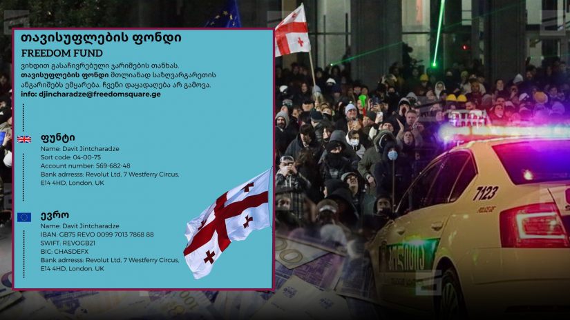 “4 დღეში შემოვიდა 20,000 ლარზე მეტი” – როგორ მუშაობს ახალი, “თავისუფლების ფონდი”?