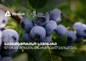 თიბისის მხარდაჭერით, ლურჯი მოცვის მწარმოებლებისთვის საერთაშორისო სემინარი გაიმართა