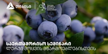 თიბისის მხარდაჭერით, ლურჯი მოცვის მწარმოებლებისთვის საერთაშორისო სემინარი გაიმართა