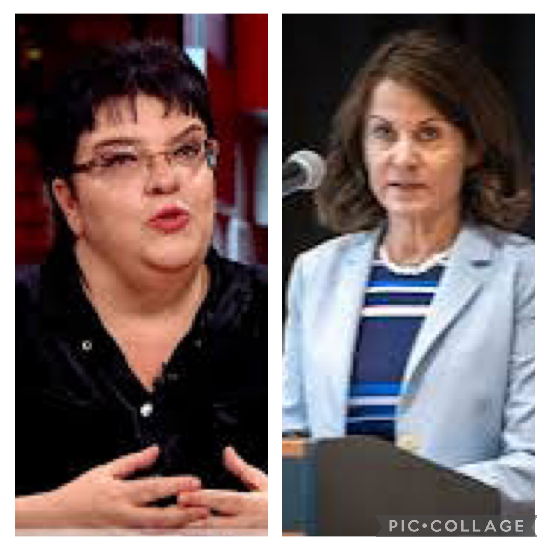 ,, ქართველი ხალხის დიდ უმრავლესობას ძალიან ცუდად მოაგონდებით” – მაია ნიკოლეიშვილი
