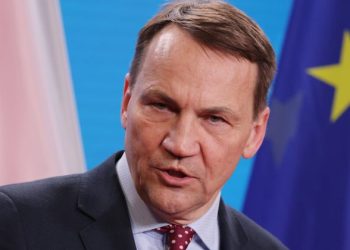 “ხედავ, დიდო კაცო? პოლიტიკა იმაზე ძნელი აღმოჩნდა, ვიდრე გეგონა” – შიკორსკი მასკს