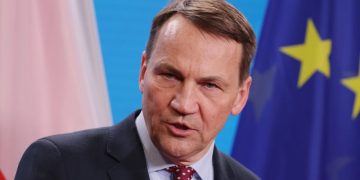 “ხედავ, დიდო კაცო? პოლიტიკა იმაზე ძნელი აღმოჩნდა, ვიდრე გეგონა” – შიკორსკი მასკს