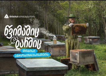 თიბისი აგრობიზნესისთვის – შალვა იოსელიანის მეფუტკრეობა სოფელ ბაშში