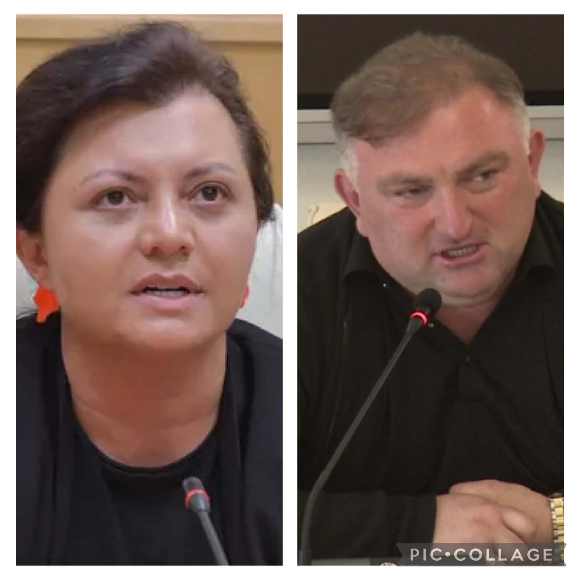 ,, ვიღაც იდიოტმა გადაწყვიტა ეკა ხერხეულიძე რაიმე მიზეზით დავიბაროთ კომისიაზეო და ფარჩაკეიბის კონვეირიდან საყოველდღიურო კრეტინებს აბოჟიალებენ” – ეკა ხერხეულიძე მიშა მესხზე