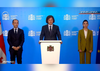 ლევან დავითაშვილის ნაცვლად – მარიამ ქვრივიშვილი