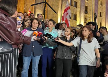 ელენე ხოშტარიამ შიმშილობა შეწყვიტა