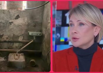 “ეს არის ნაციონალური მოძრაობის სახე” –  2012 წლია რა ფოტოებს აქვეყნებს ნინო წილოსანი 2025 წელს