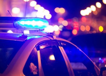 პოლიციამ ნარკოდანაშაულის ბრალდებით ერთი პირი დააკავა