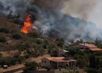 საბერძნეთში ტყის ხანძარს ებრძვიან
