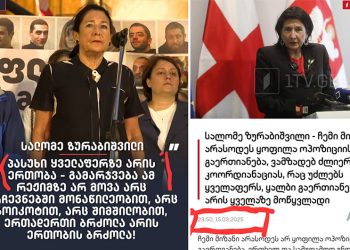 “როდის იყო ის გულწრფელი, ახლა თუ 3 თვის წინ?” – თამარ ბუჩუკური