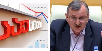 “მოსახლეობის ბოლო აღწერის სტატისტიკა გაყალბებულია” – რა მონაცემებს აქვეყნებს რომან გოცირიძე