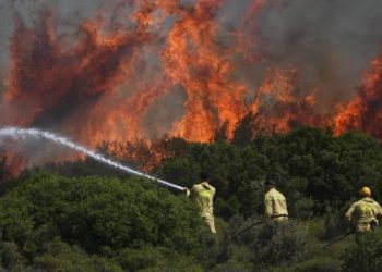 თურქეთის ქალაქ იზმირში ტყის ხანძრებს ებრძვიან