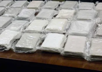 „კოკაინის იატაკქვეშა ლაბორატორიები თბილისში, ქუთაისსა და ბათუმში აღმოაჩინეს“ – რას ამბობს ნარკოლოგი